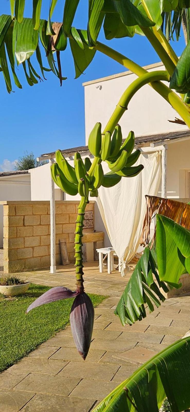 Tenuta Puloni Otranto Eksteriør bilde